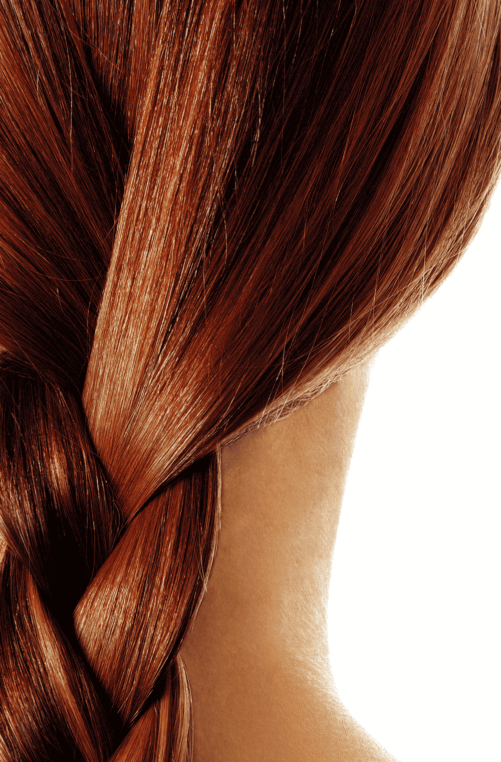 Light Brown - Lichtbruin