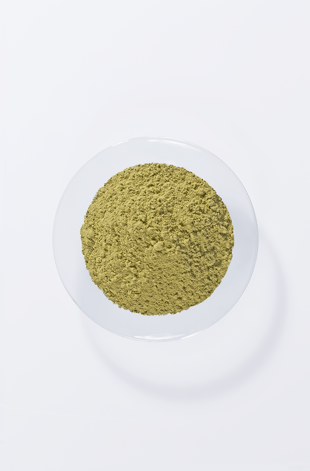 Senna/Cassia